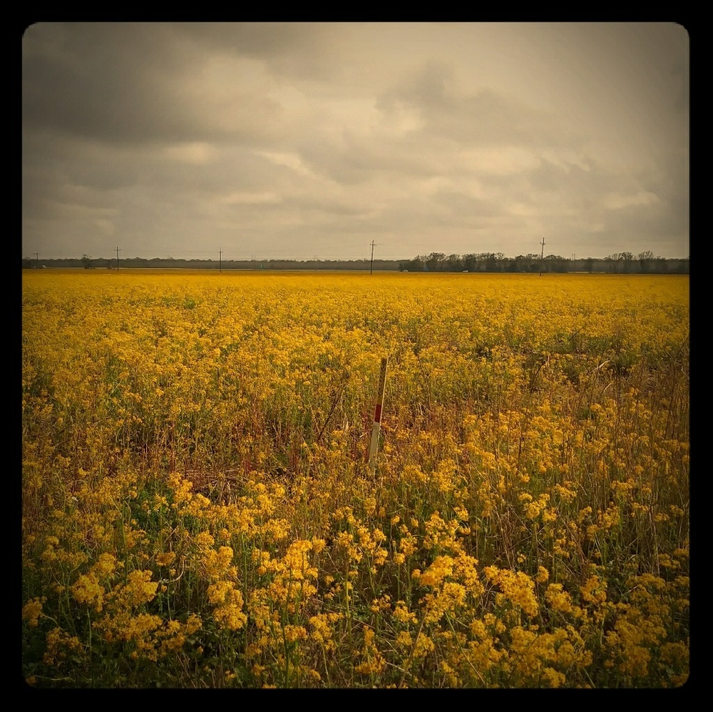 Meet your Posher, Conor